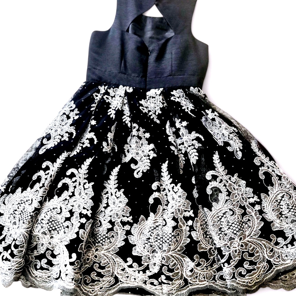 Eliza J Party Dress Overlay Embroidery Bling Wedding Guest Romance Fairy sz 6 - Picture 7 of 14